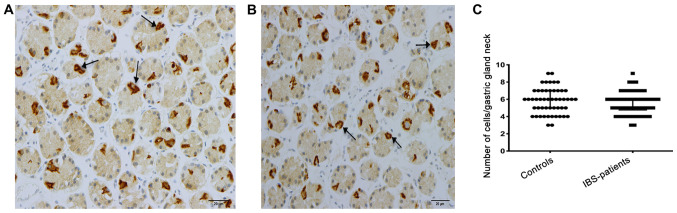 Figure 3.