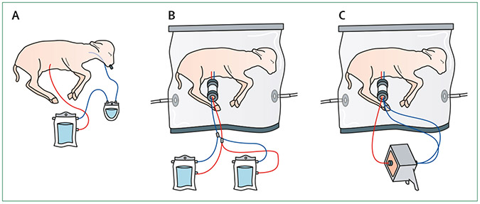 Figure 3: