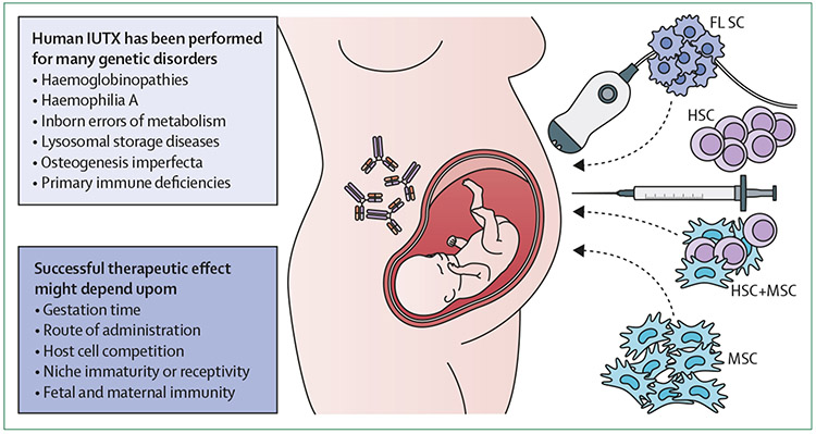 Figure 1: