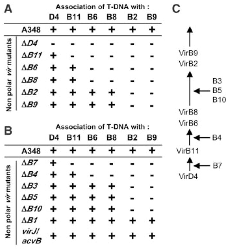 Fig. 4