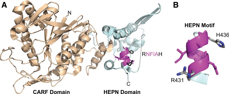 FIGURE 1.