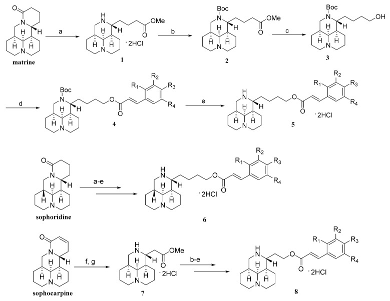 Scheme 1