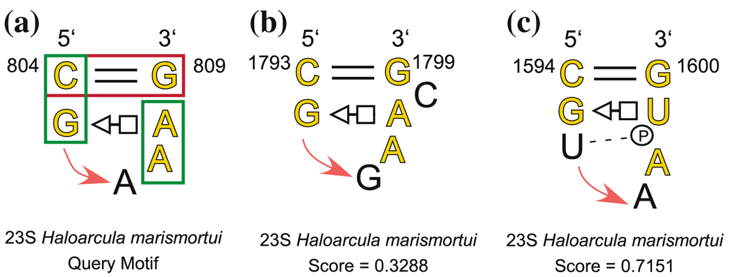 Fig. 11