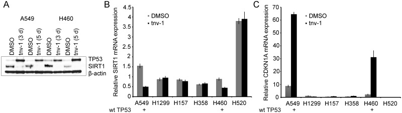 Fig 5