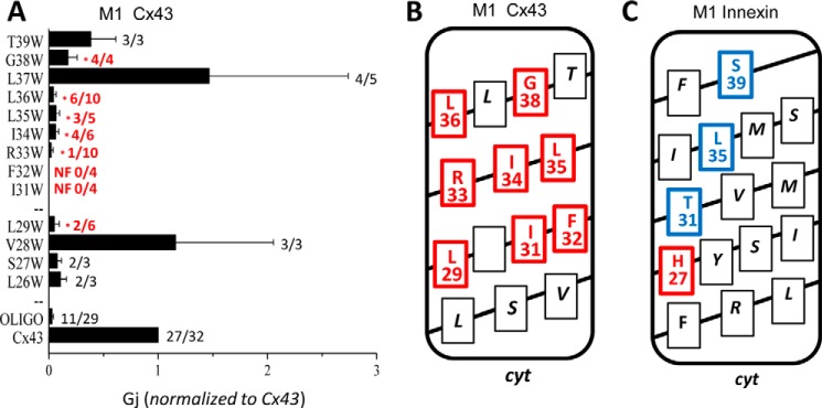 FIGURE 7.