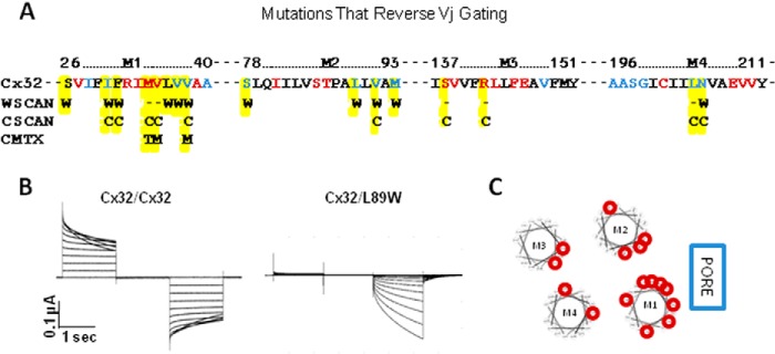 FIGURE 6.