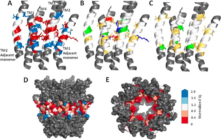 FIGURE 4.