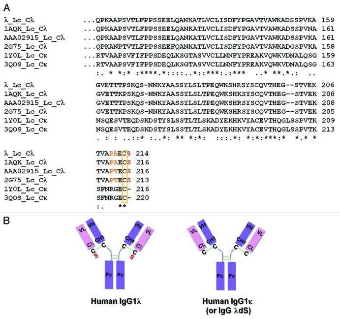 graphic file with name mabs-5-418-g1.jpg