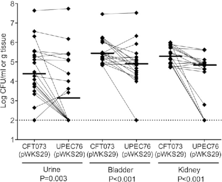 Graphical Abstract Figure.