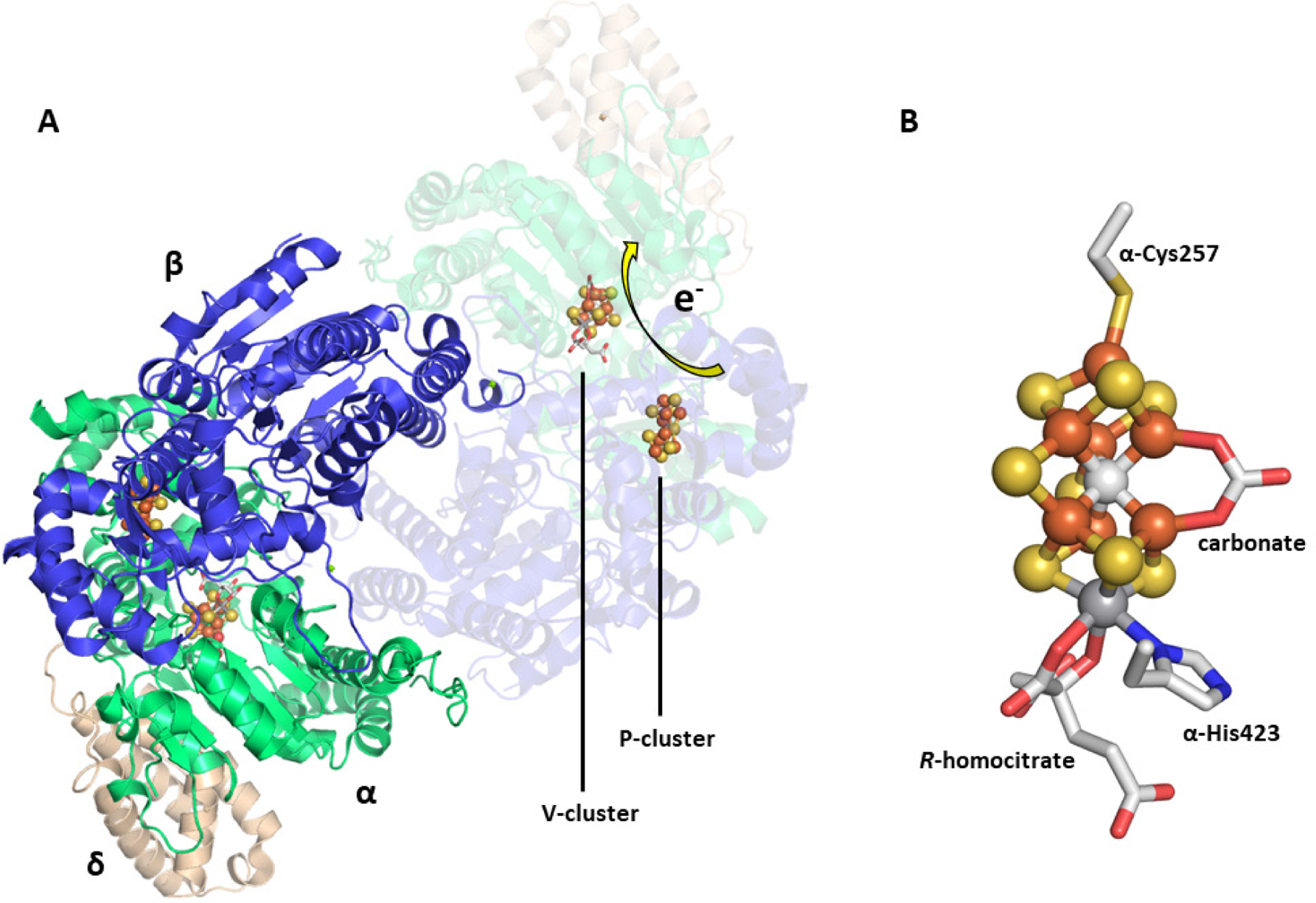 Figure 10.