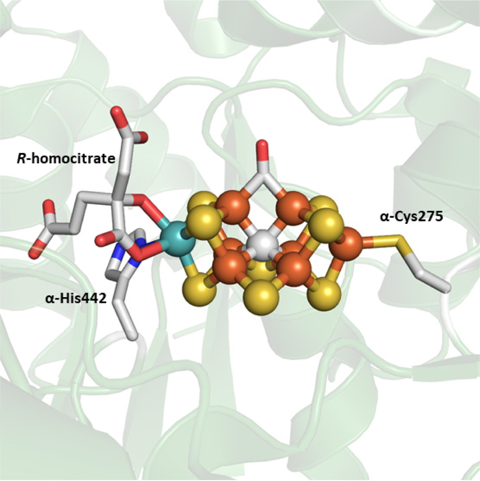 Figure 25.