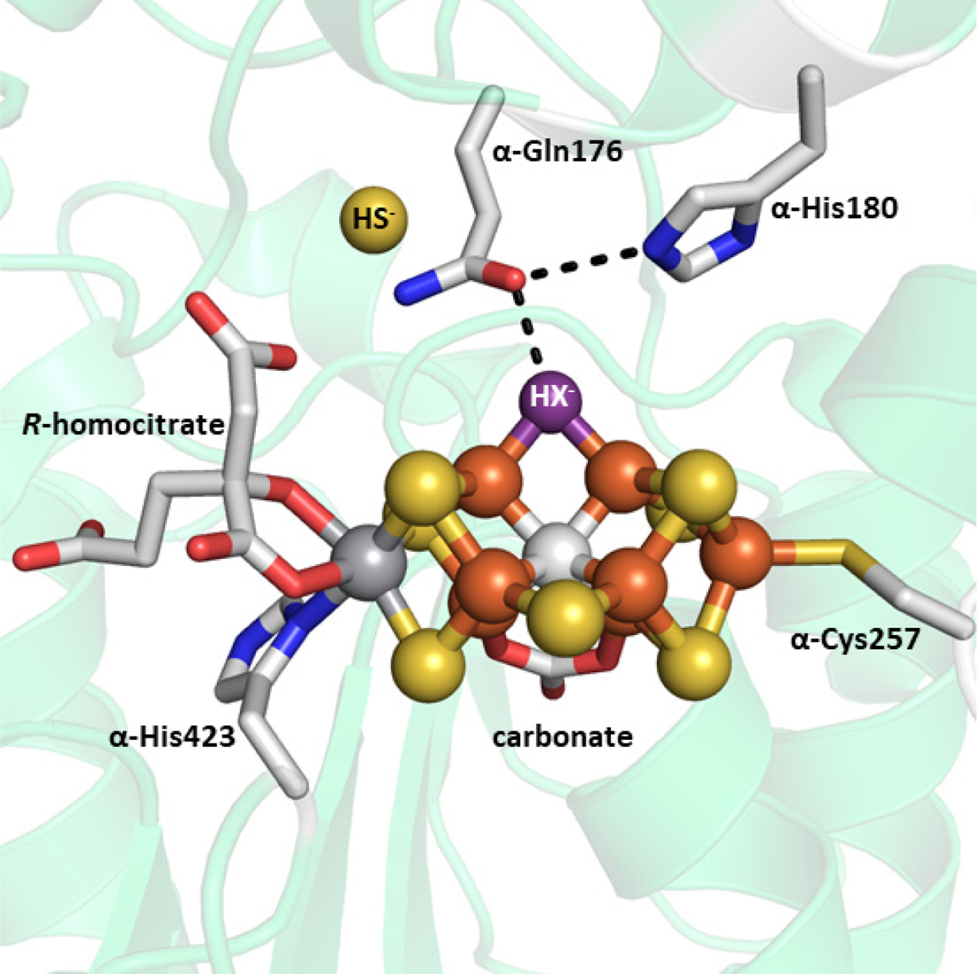 Figure 11.