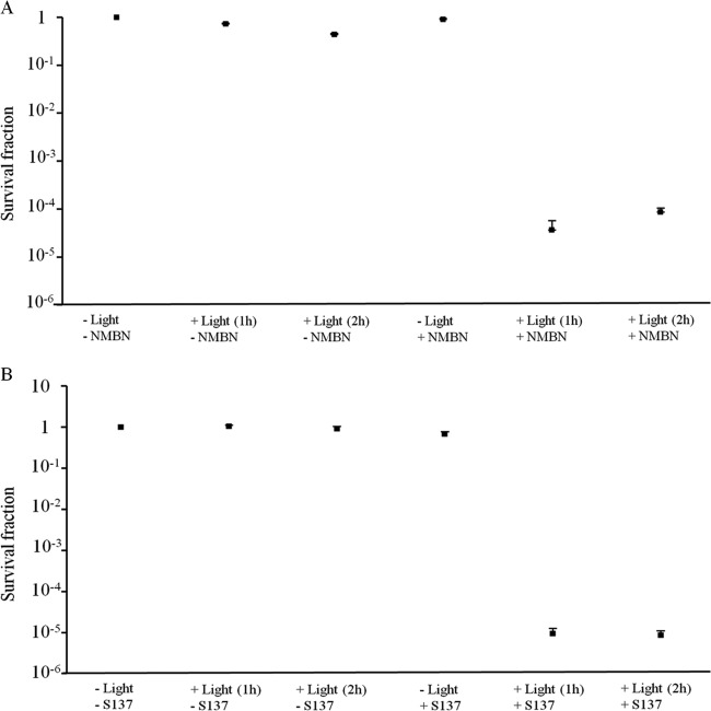 FIG 3