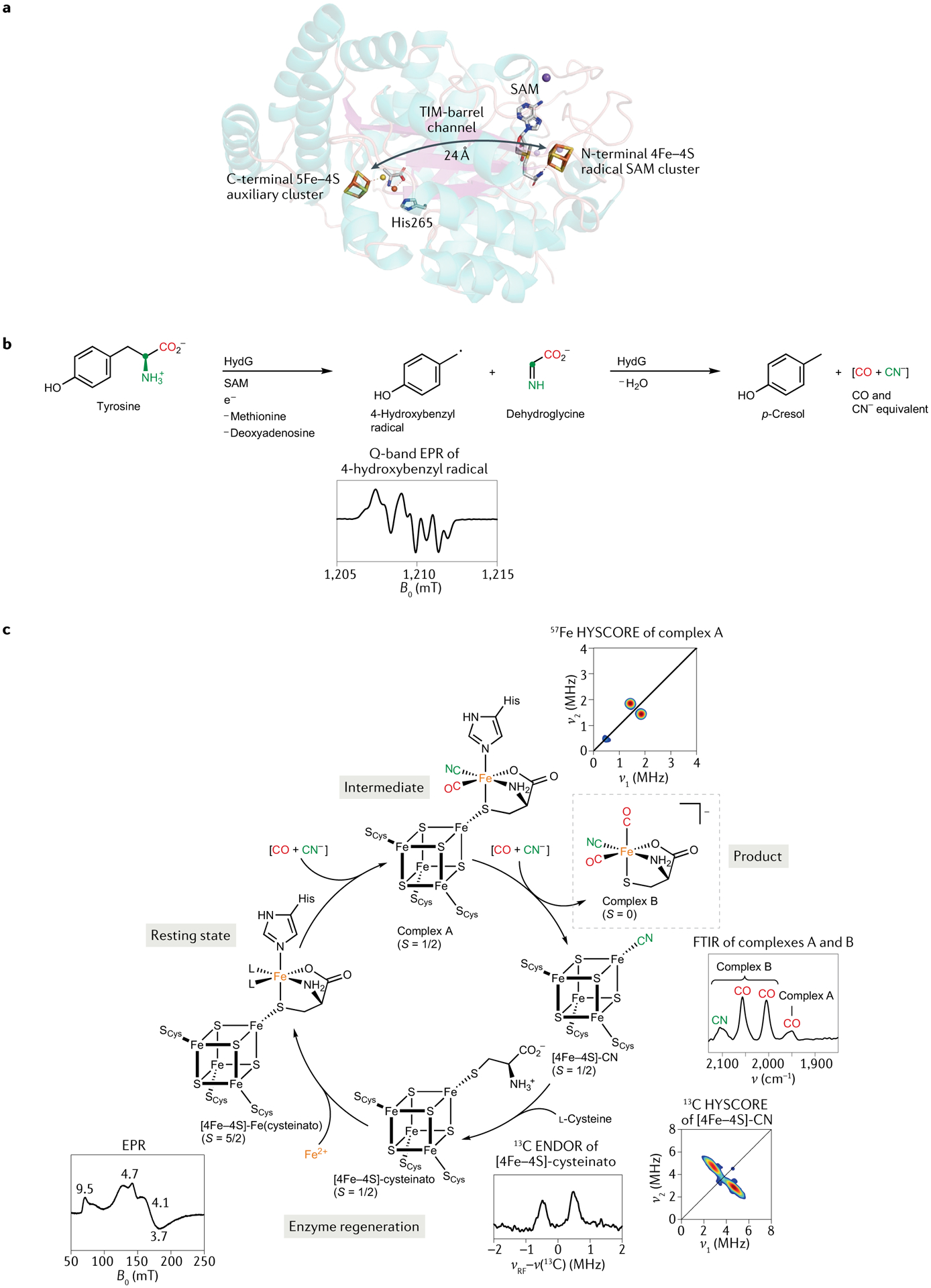 Fig. 2 |