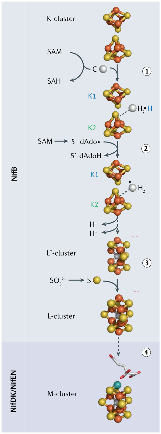 Fig. 6 |