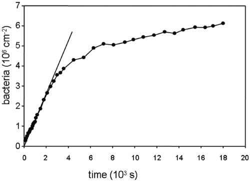 FIG. 1.