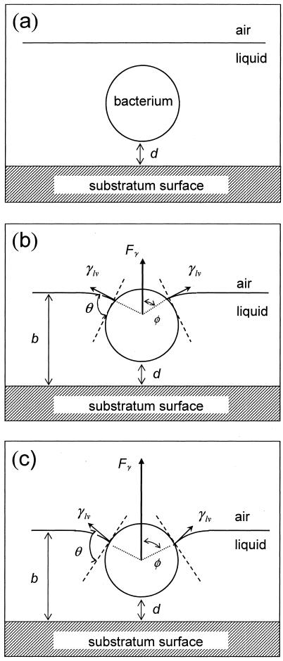 FIG. 6.