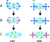Figure 9.