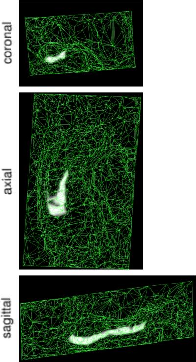 Fig. 2