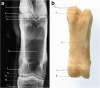 Fig. 9