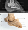 Fig. 5