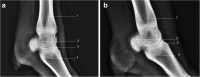 Fig. 10