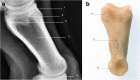 Fig. 8