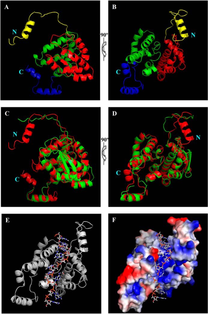 FIGURE 4.