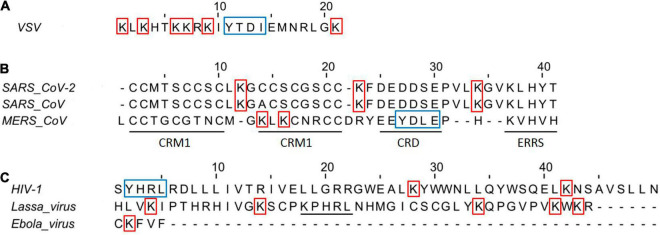 FIGURE 3