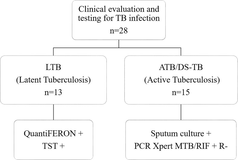 Figure 1