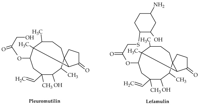 Figure 8