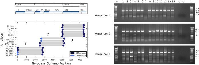 FIG 1