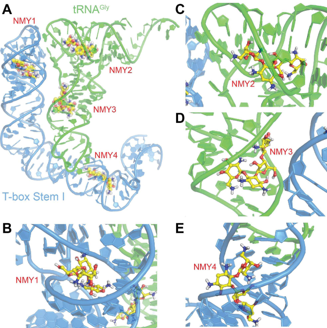 Figure 5.