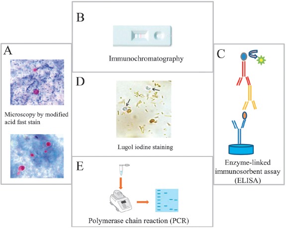 Figure 2.