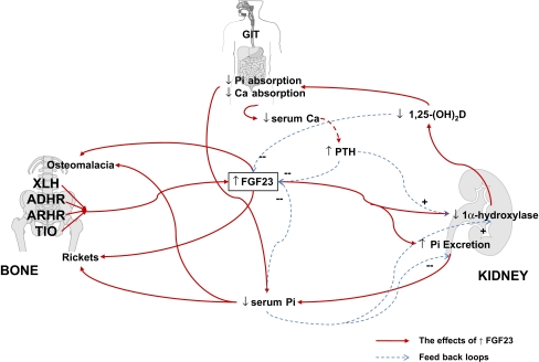 Fig. 2