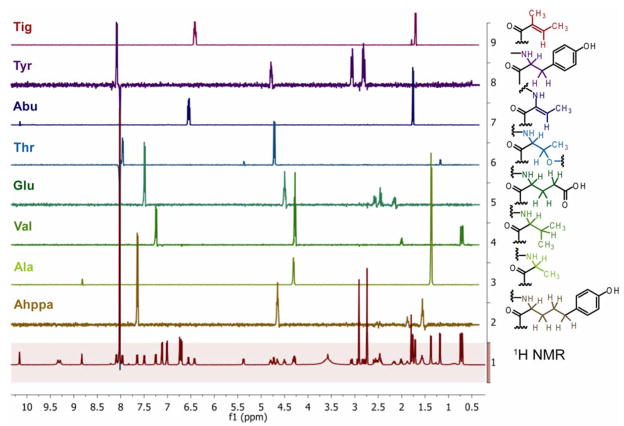 Fig. 2