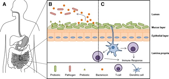 Fig. 3