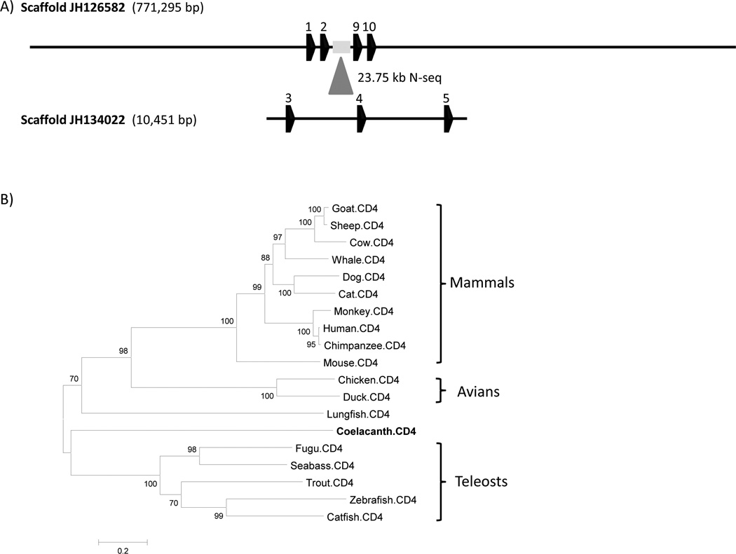 Figure 11