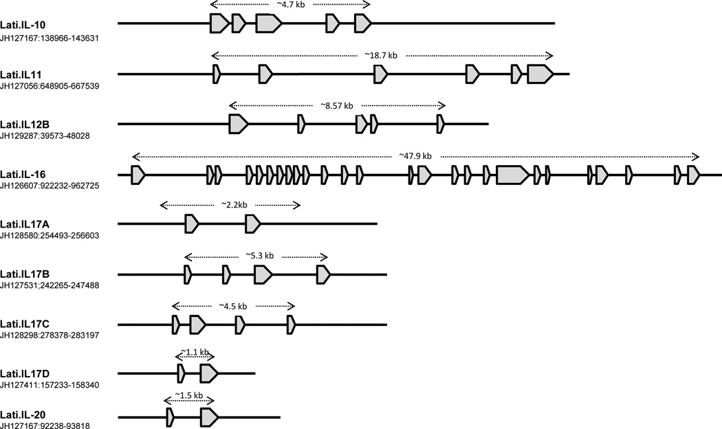 Figure 13