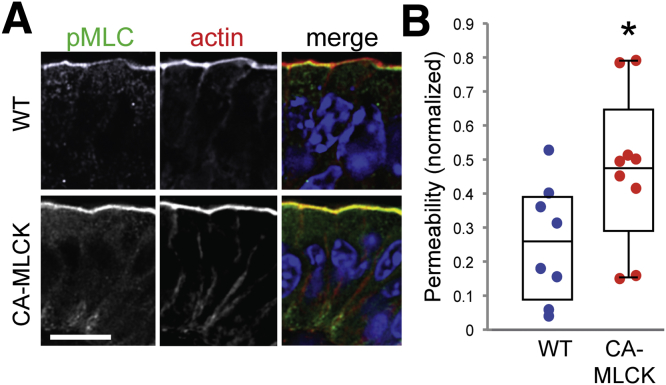 Figure 1