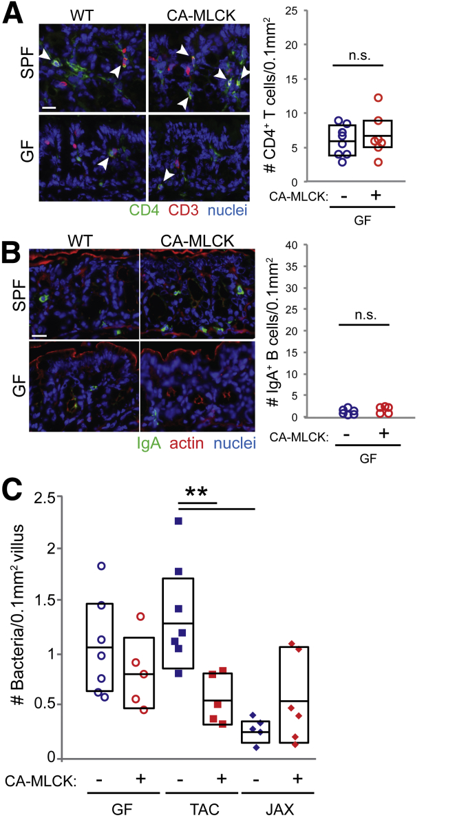 Figure 6