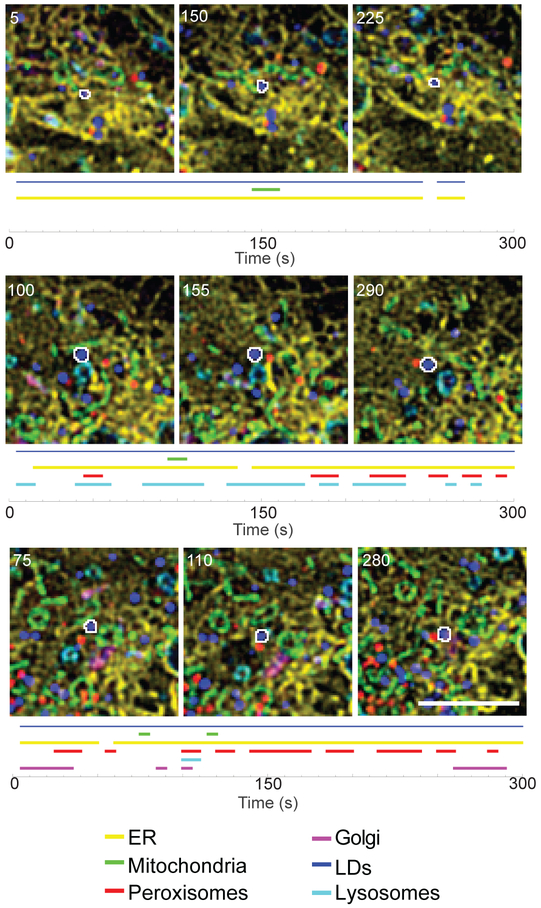 Figure 4: