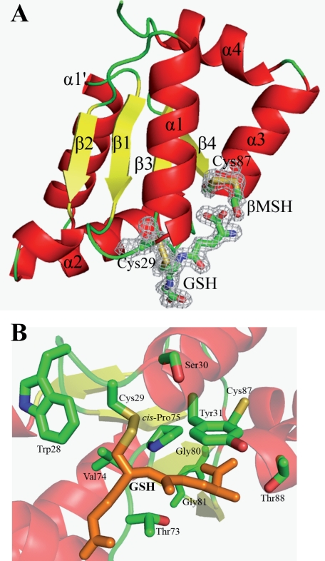 FIGURE 7.