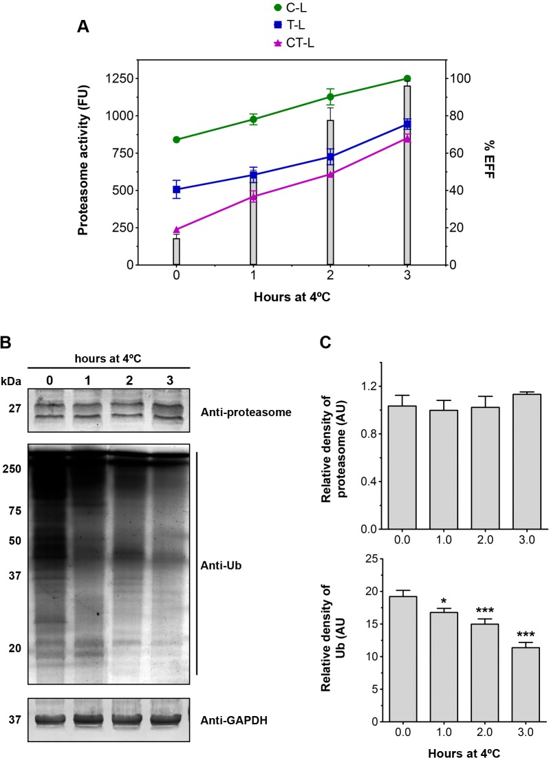 Fig 7