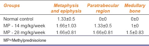 graphic file with name IJPharm-48-298-g002.jpg