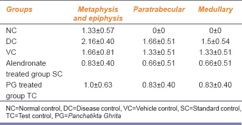 graphic file with name IJPharm-48-298-g006.jpg