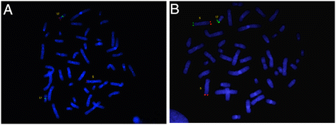 Fig. 3