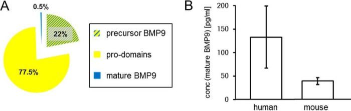 FIGURE 10.