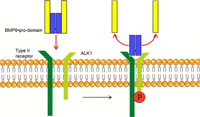 FIGURE 12.