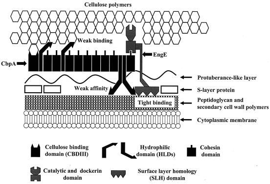 FIG. 7.